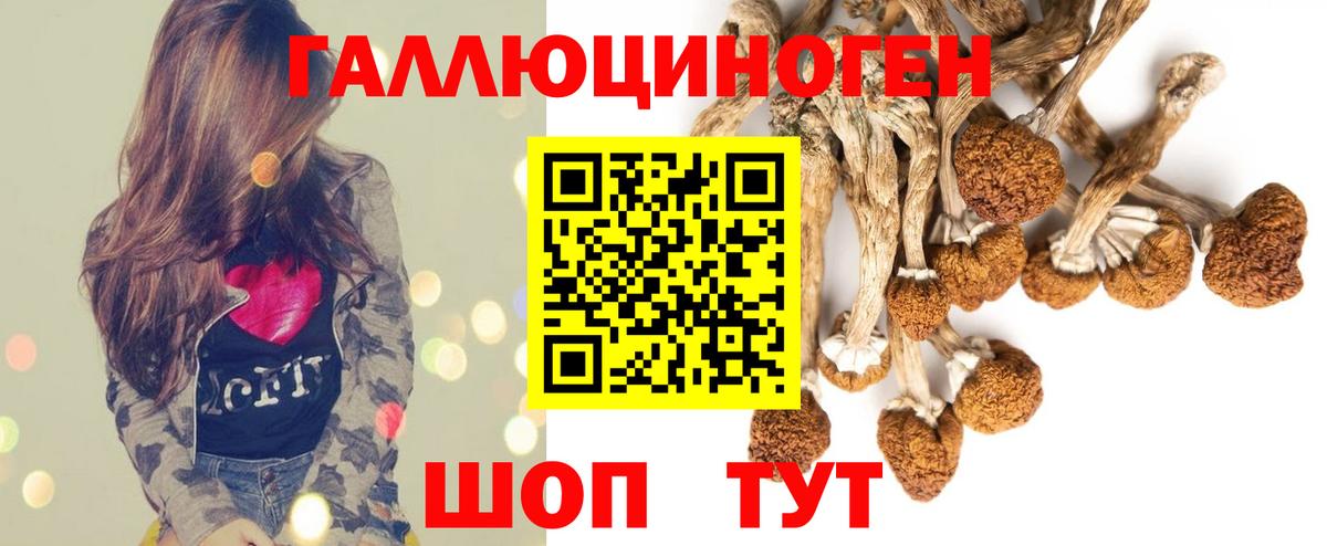 наркошоп  Псилоцибиновые грибы прущие грибы  Вход с VPN  Полысаево 